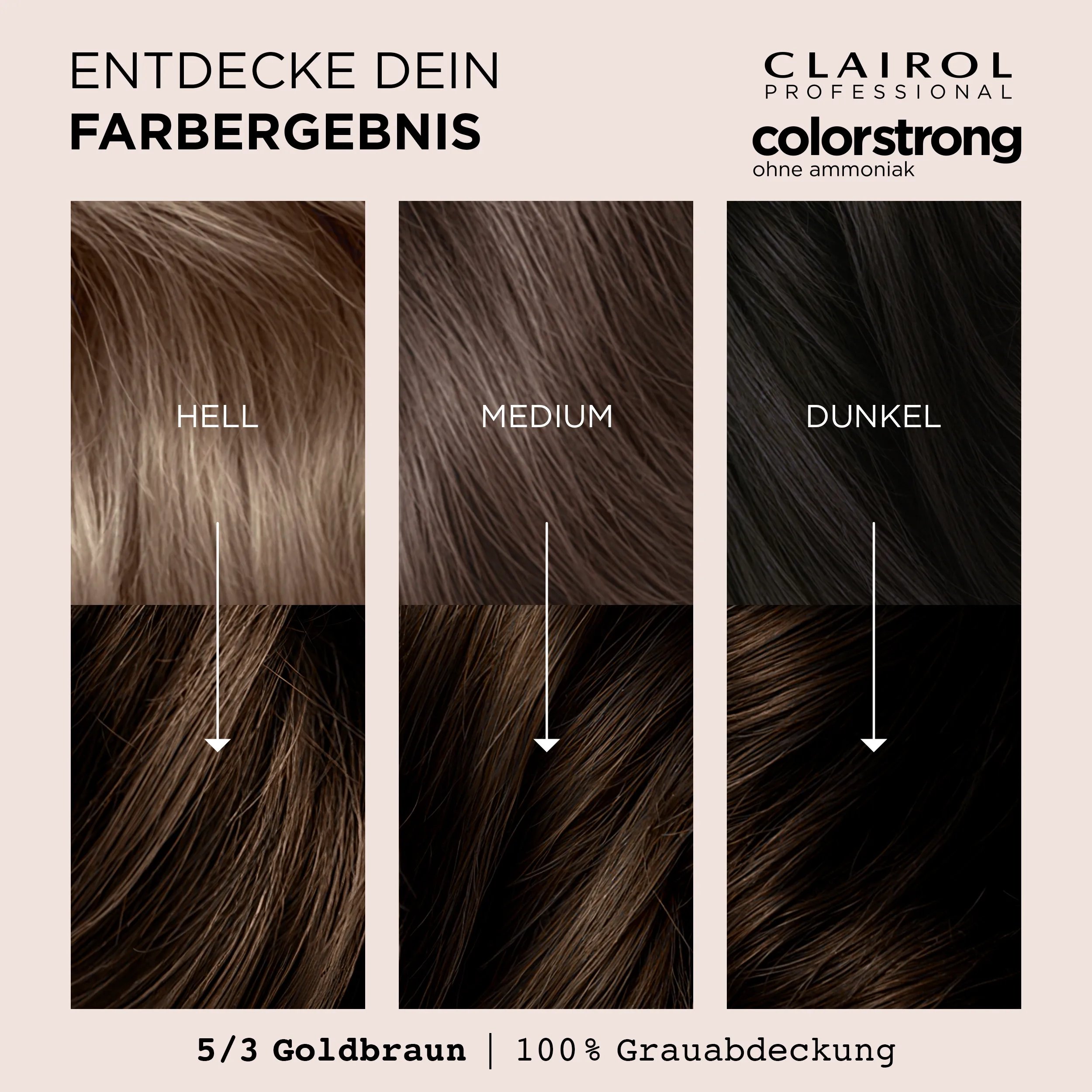 Entdecke dein Farbergebnis