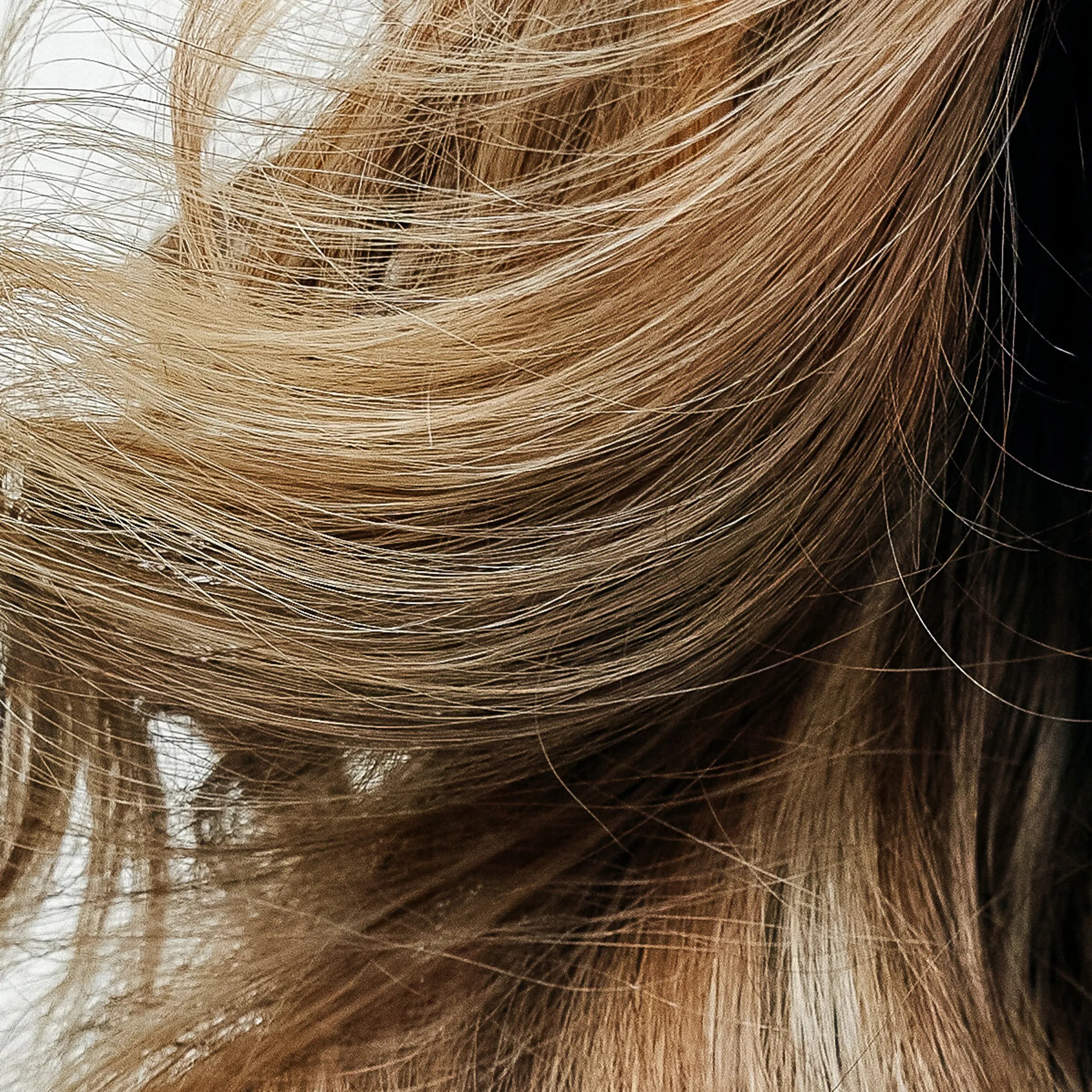 Close-up of blonde and brown hair strands, highlighting the natural variations in color and texture.