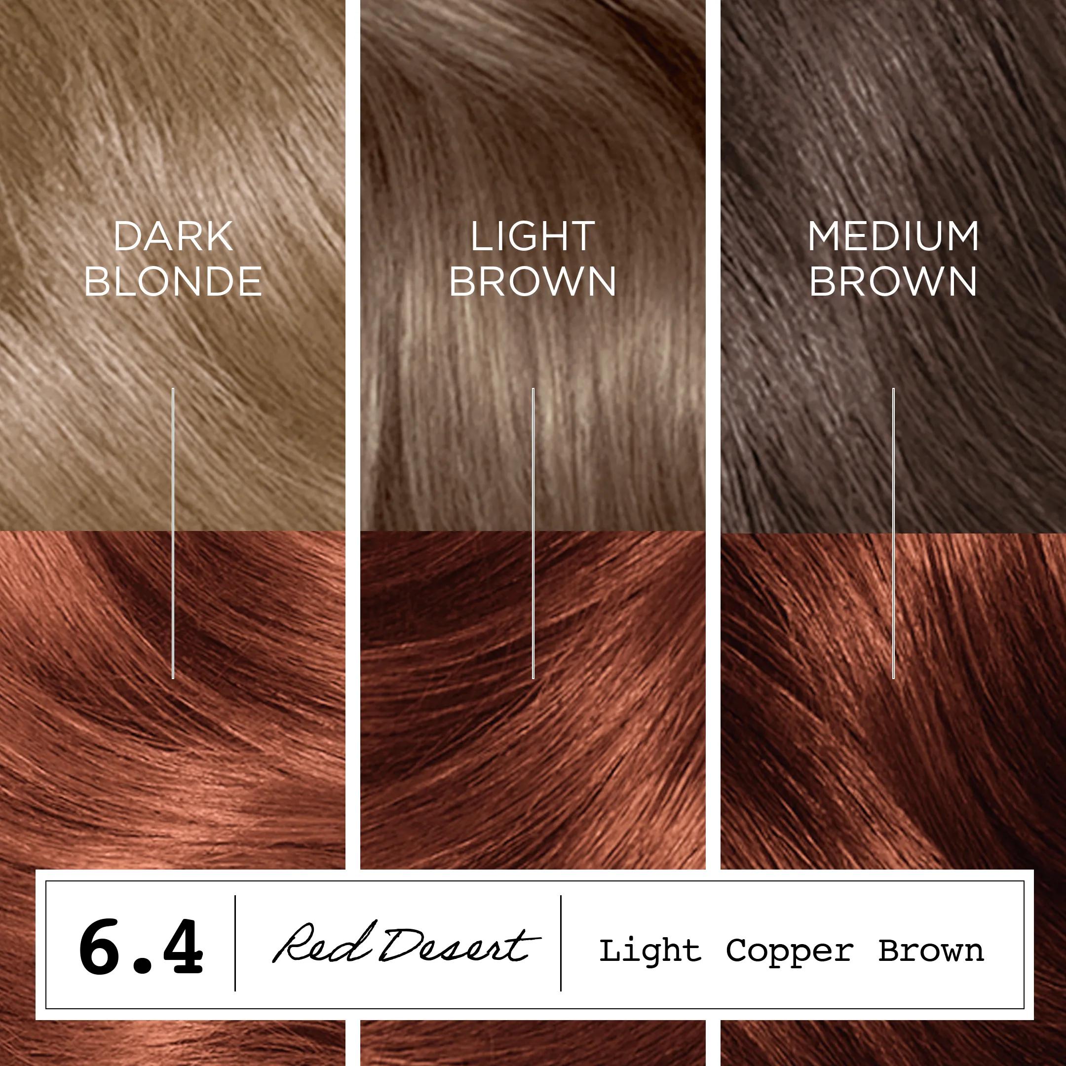 ビカクシダAuburn (Lisawa) x Copper will ColorStrong Zero Ammonia Hair Dye, 6.4 Light Copper Brown | Clairol US