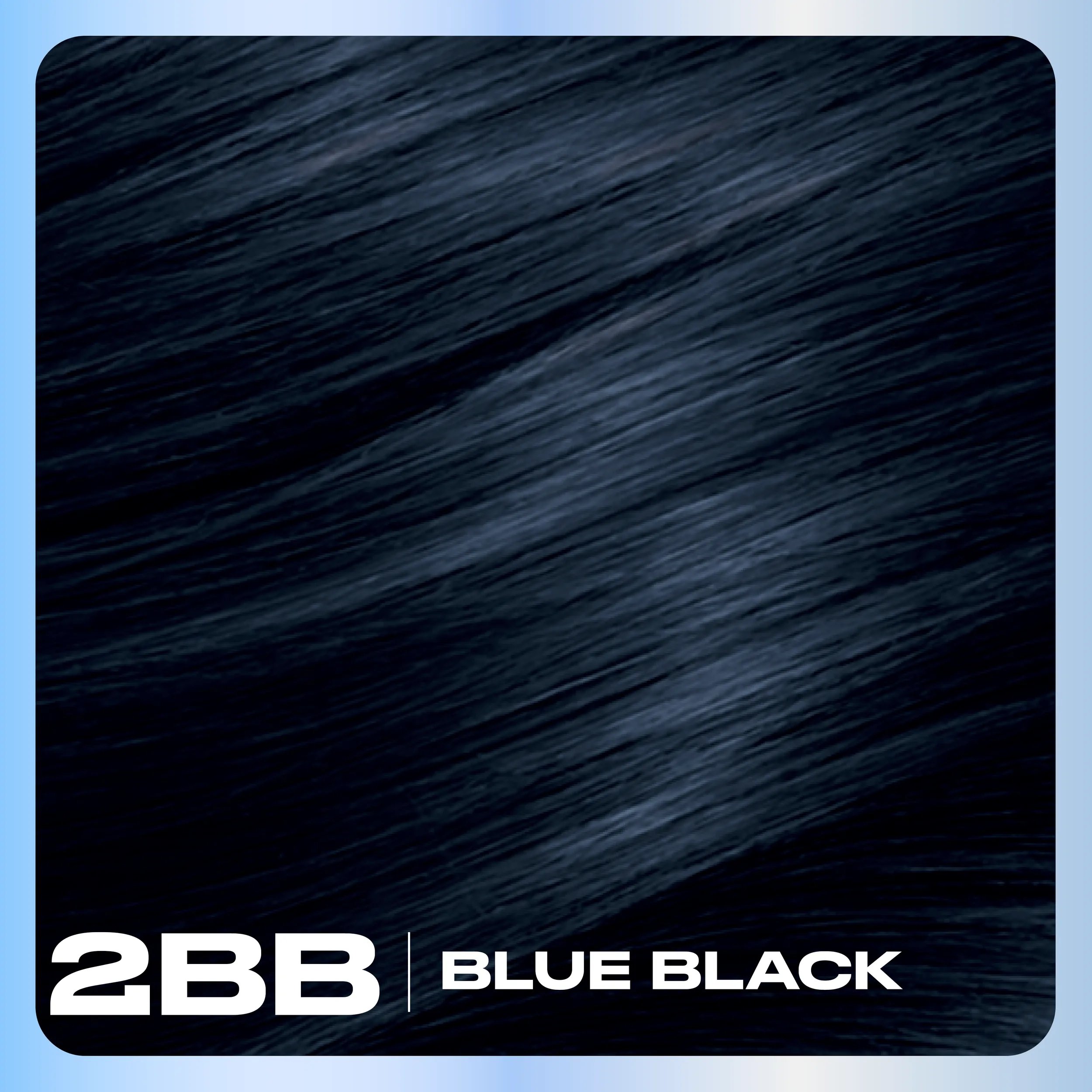 Clairol_Nice_N_Easy_Hair_Color_Base_Content_2BB Blue Black