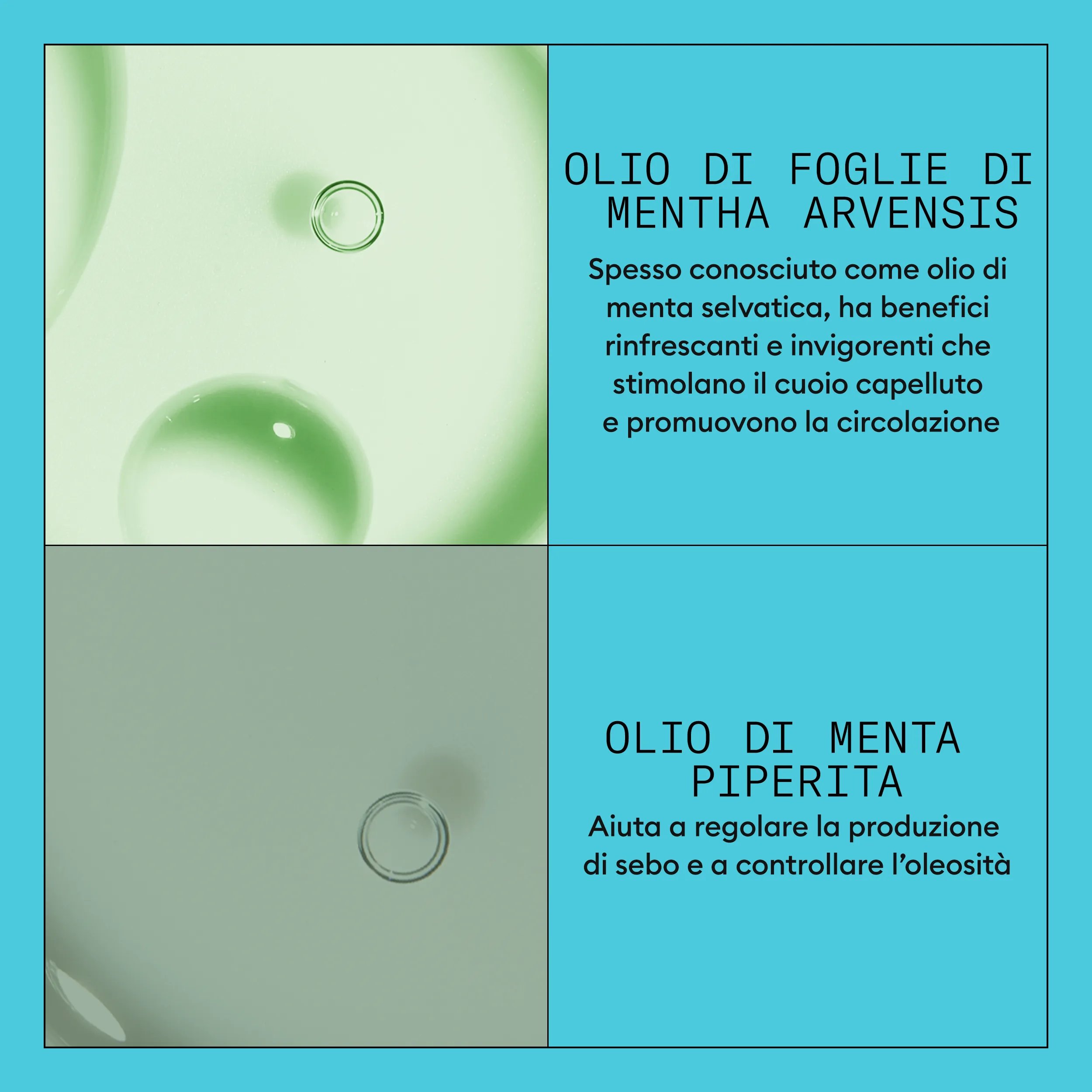 Nioxin_Sistema 3 Conditioner 1L_Italy-53_4_E