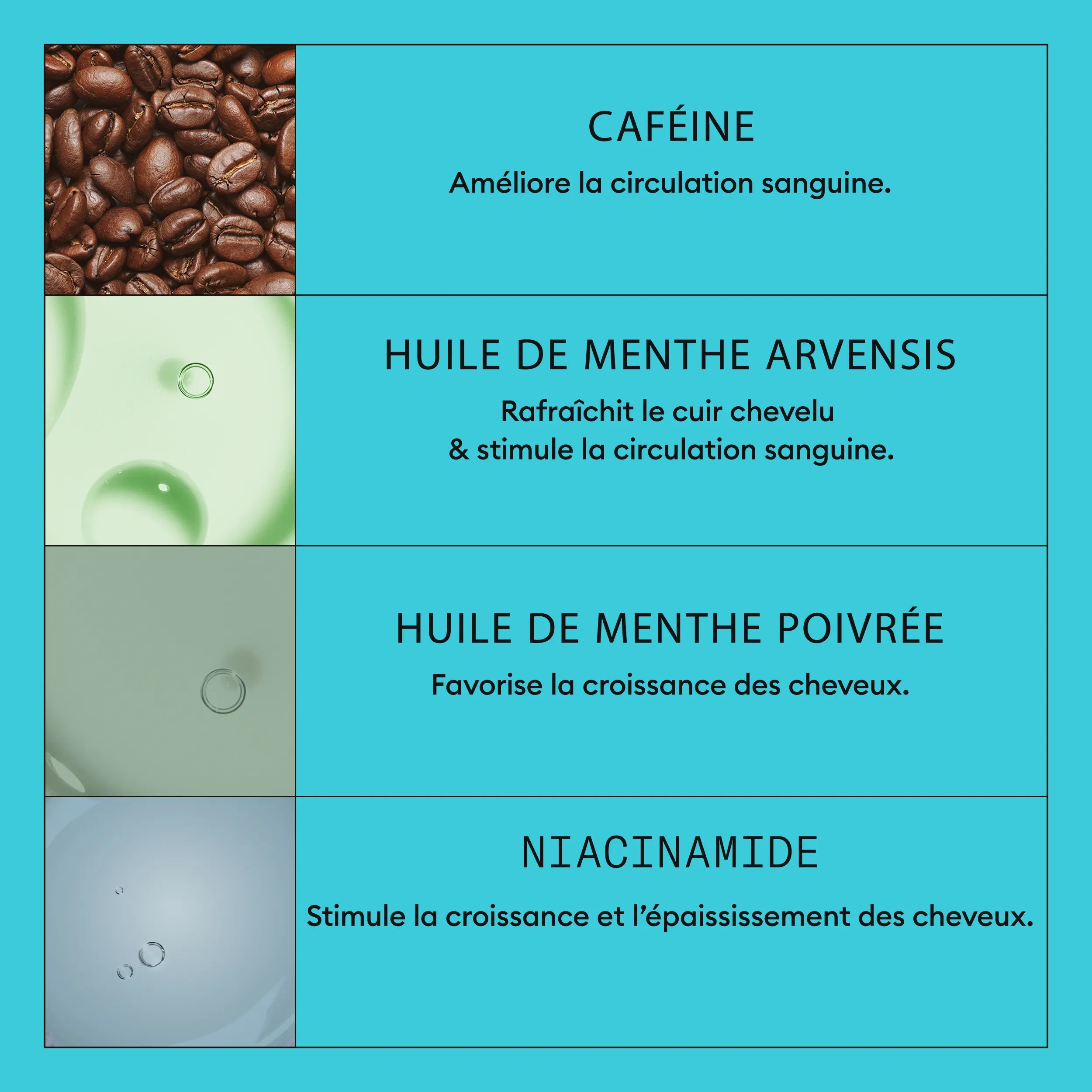 Nioxin_System_Kit3_Shampoo_France

