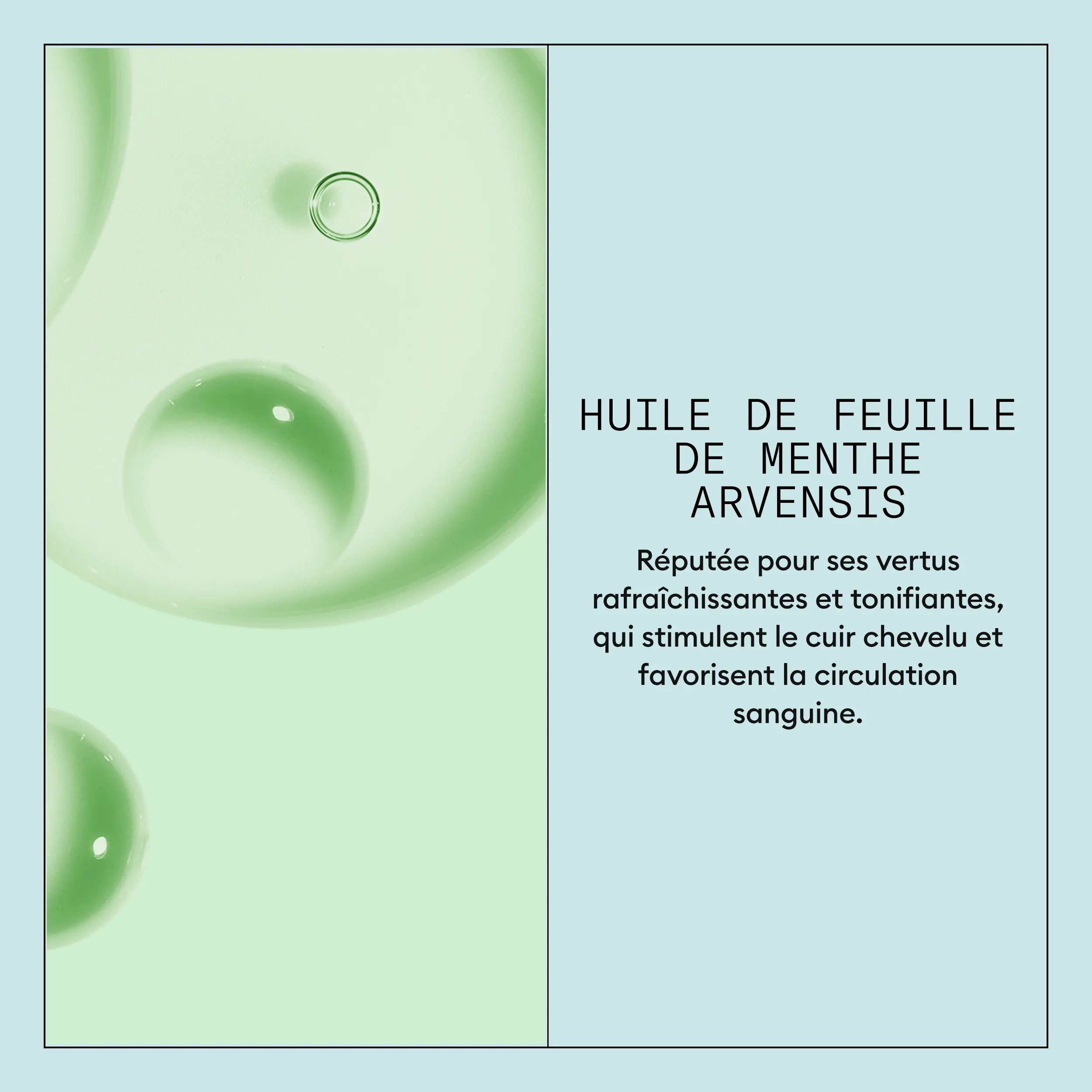 Nioxin Scalp Recovery System ingredients infograph