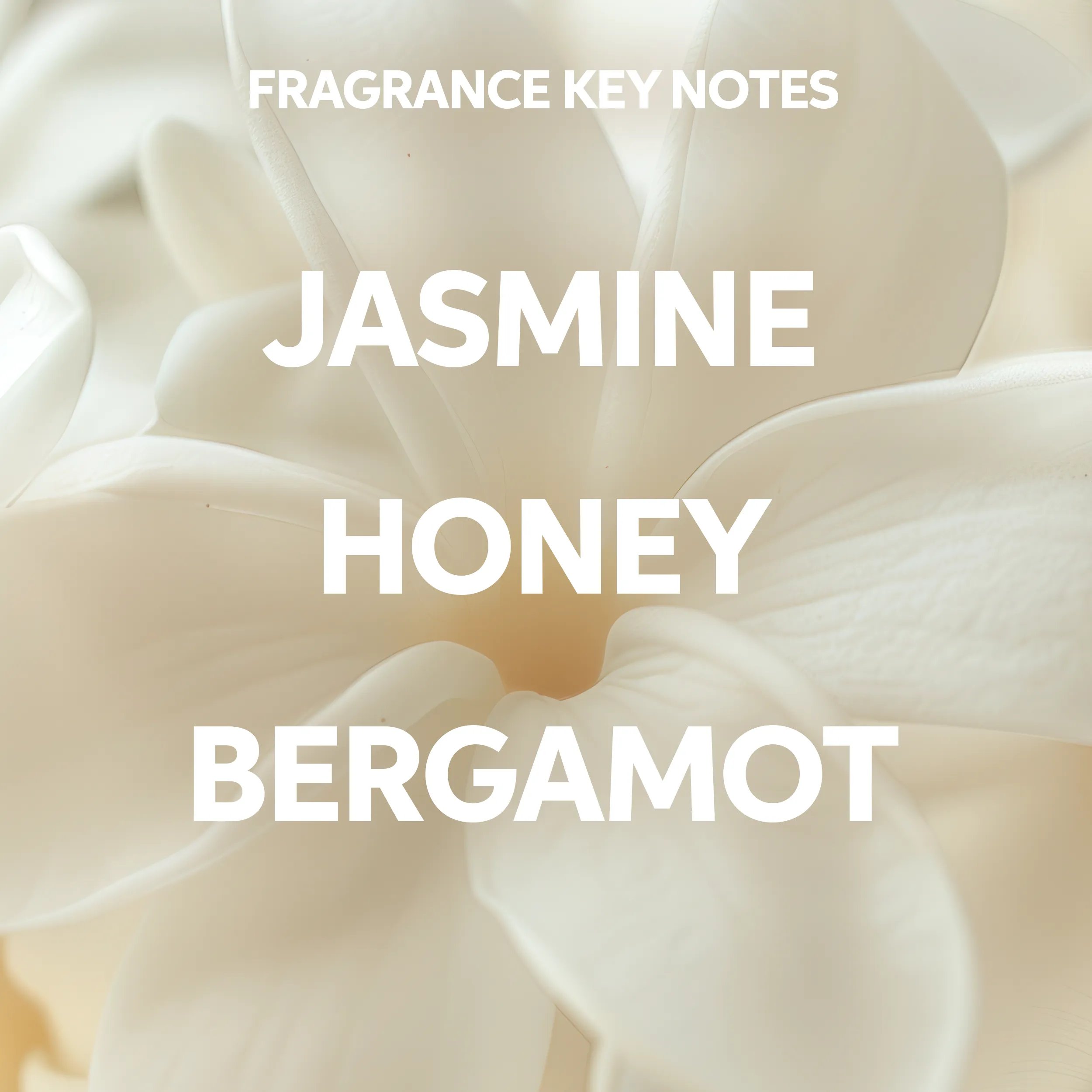 Text saying 'fragrance key notes: jasmine, honey and bergamot' on a background photograph of a white flower.
