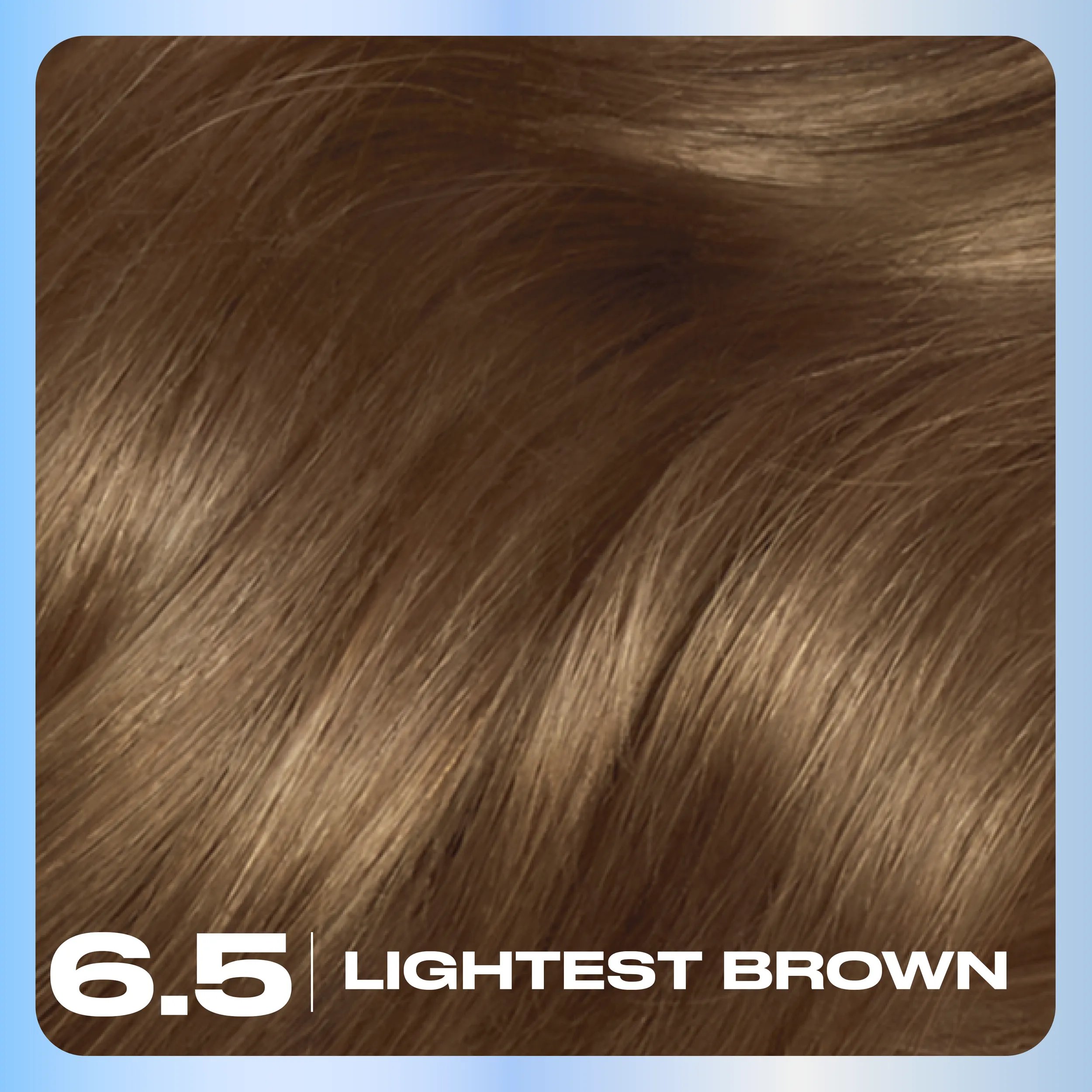 Clairol_Nice_N_Easy_Hair_Color_Base_Content_6.5 Lightest Brown