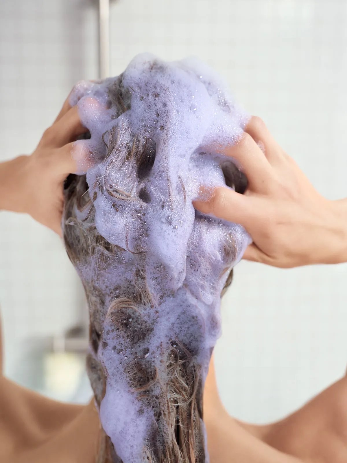 Model massages purple shampoo into wet hair.