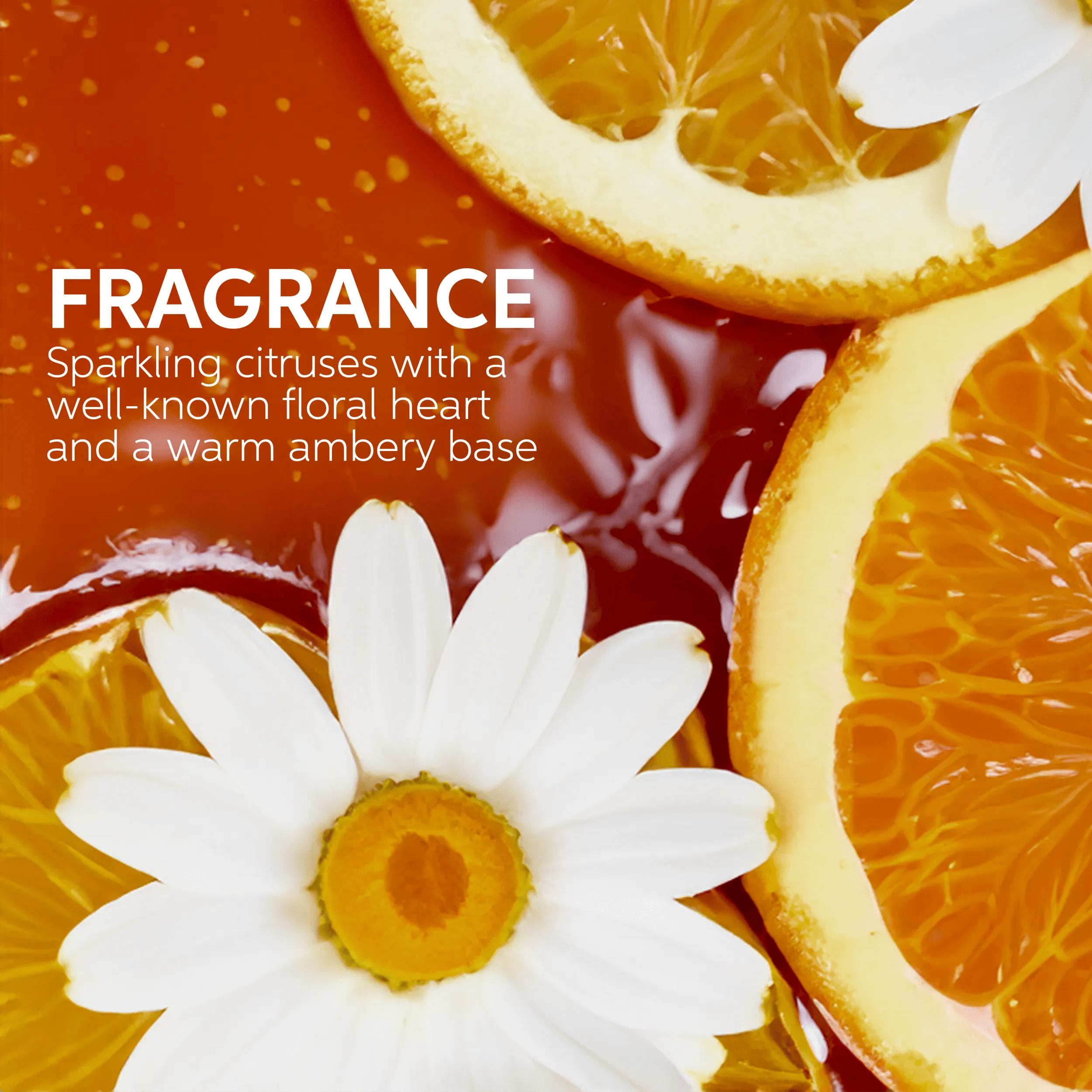 Image of orange and flowers. Text reads fragrance sparkling citruses with a well-known floral heart and a warm ambery base.