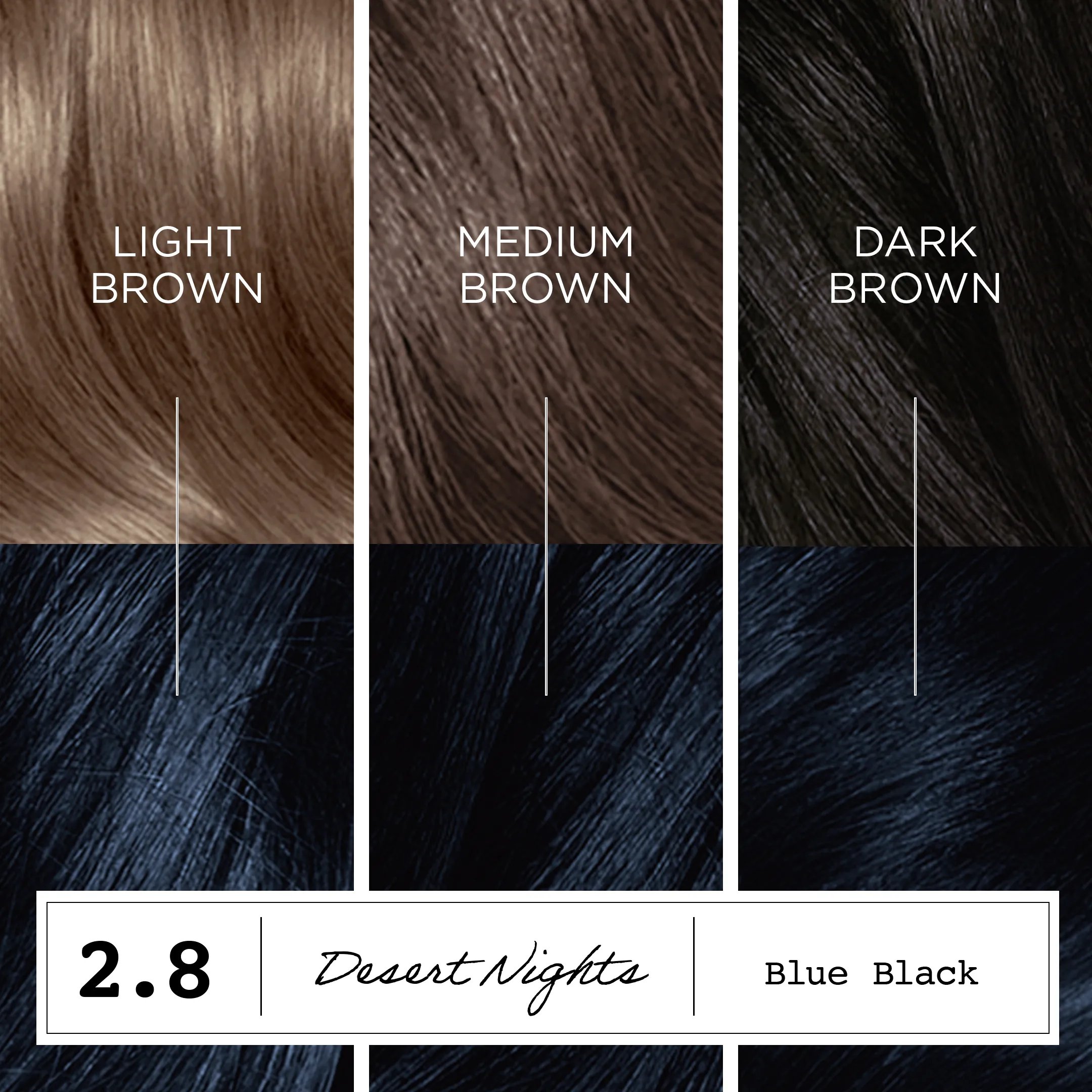 Destination: Your Dream Hair Color