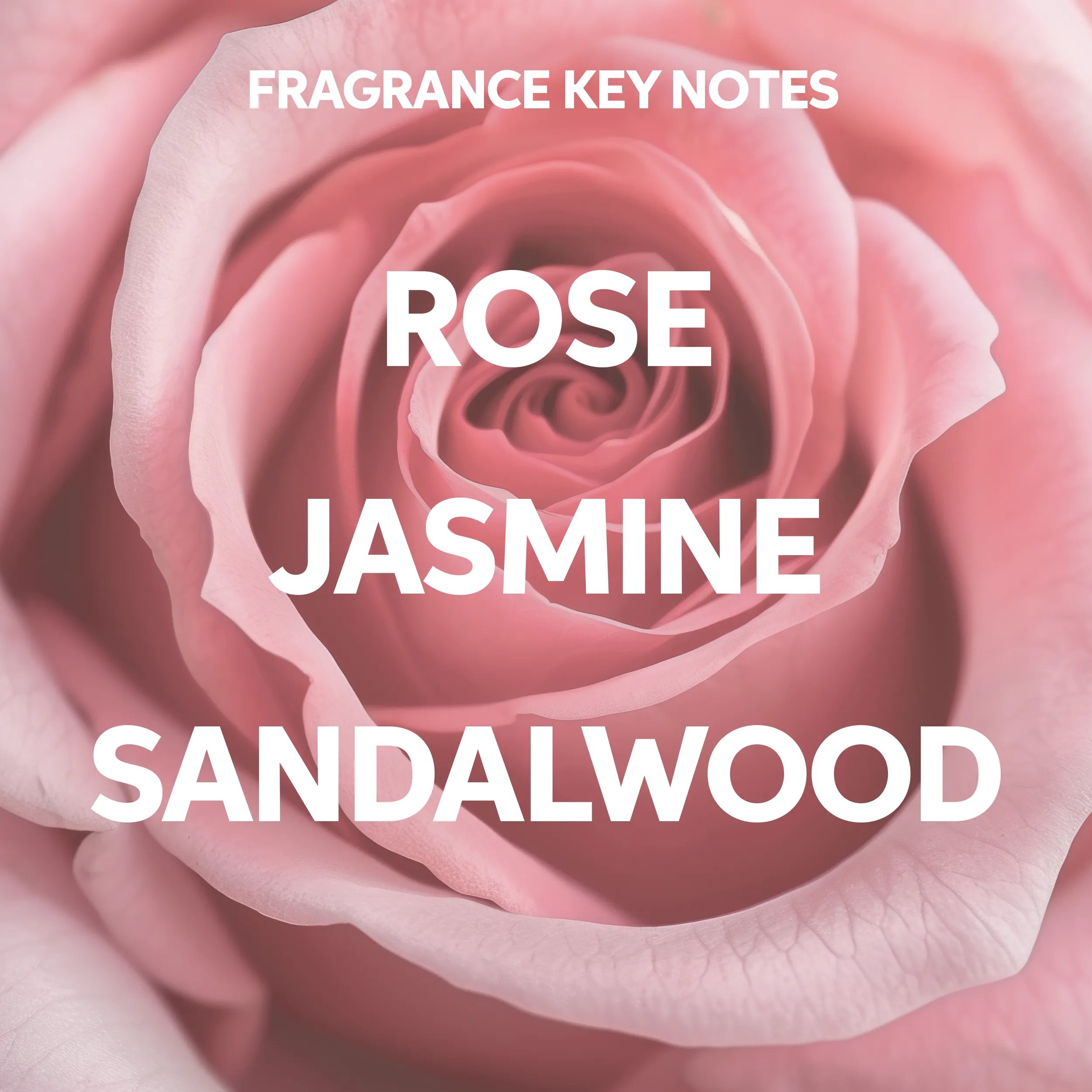 Image with text 'Fragrance key notes Rose, Jasmine, Sandalwood'