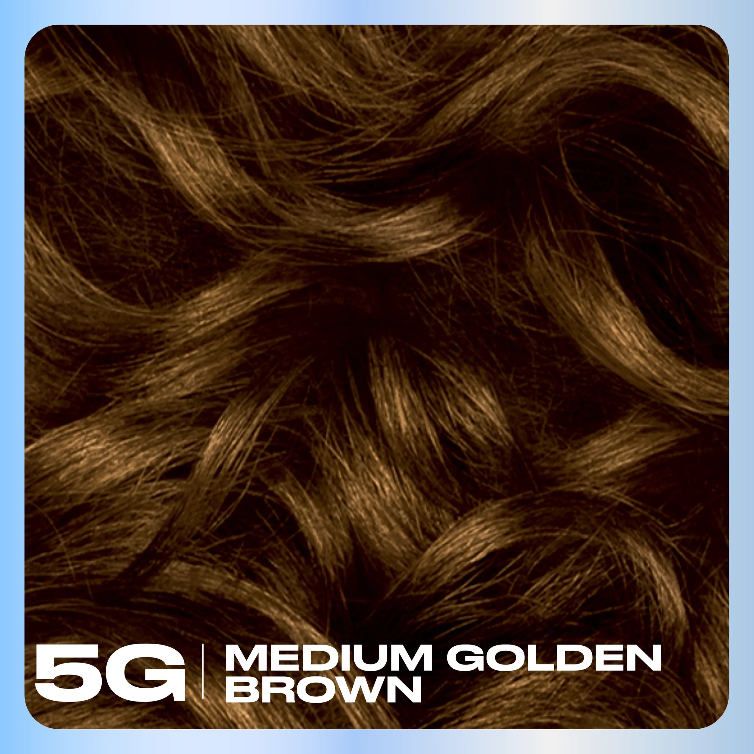 Clairol_Nice_N_Easy_Hair_Color_Base_Content_5G Medium Golden Brown
