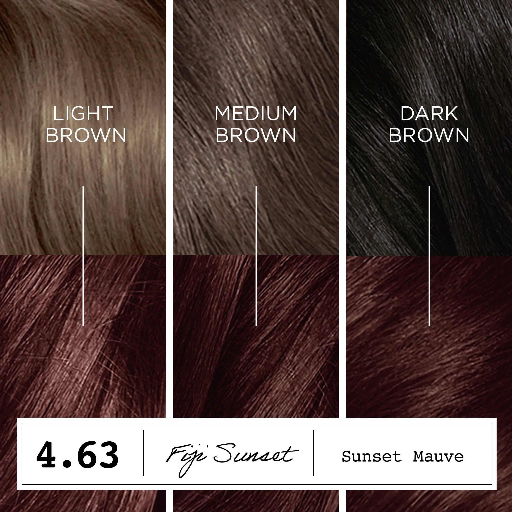 ※新商品【EVO】 ヴァルキリー ブレイク＆ジャンプキュー - ブラウン ColorStrong Zero Ammonia Hair Dye, 4.63 Sunset Mauve | Clairol US