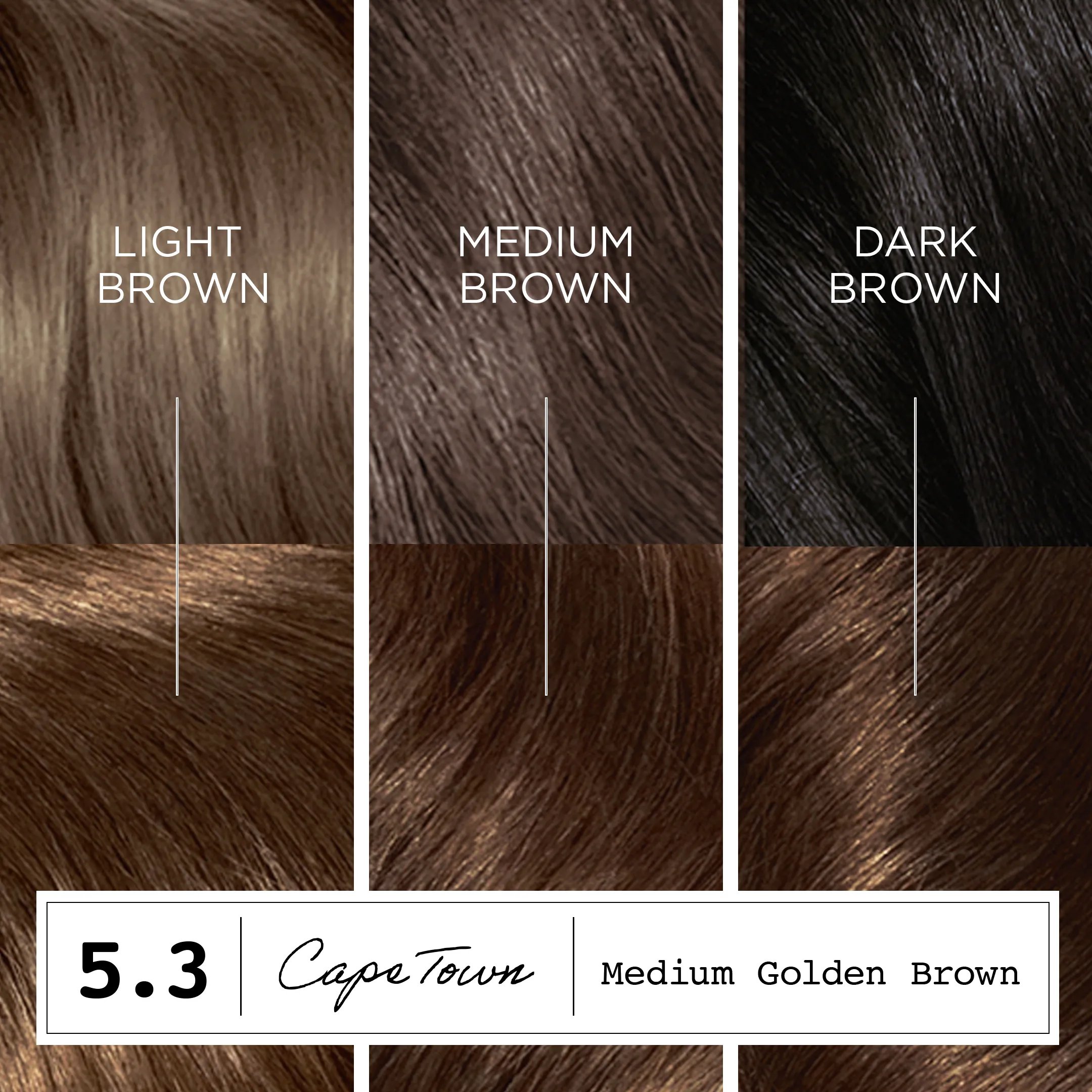 Destination: Your Dream Hair Color