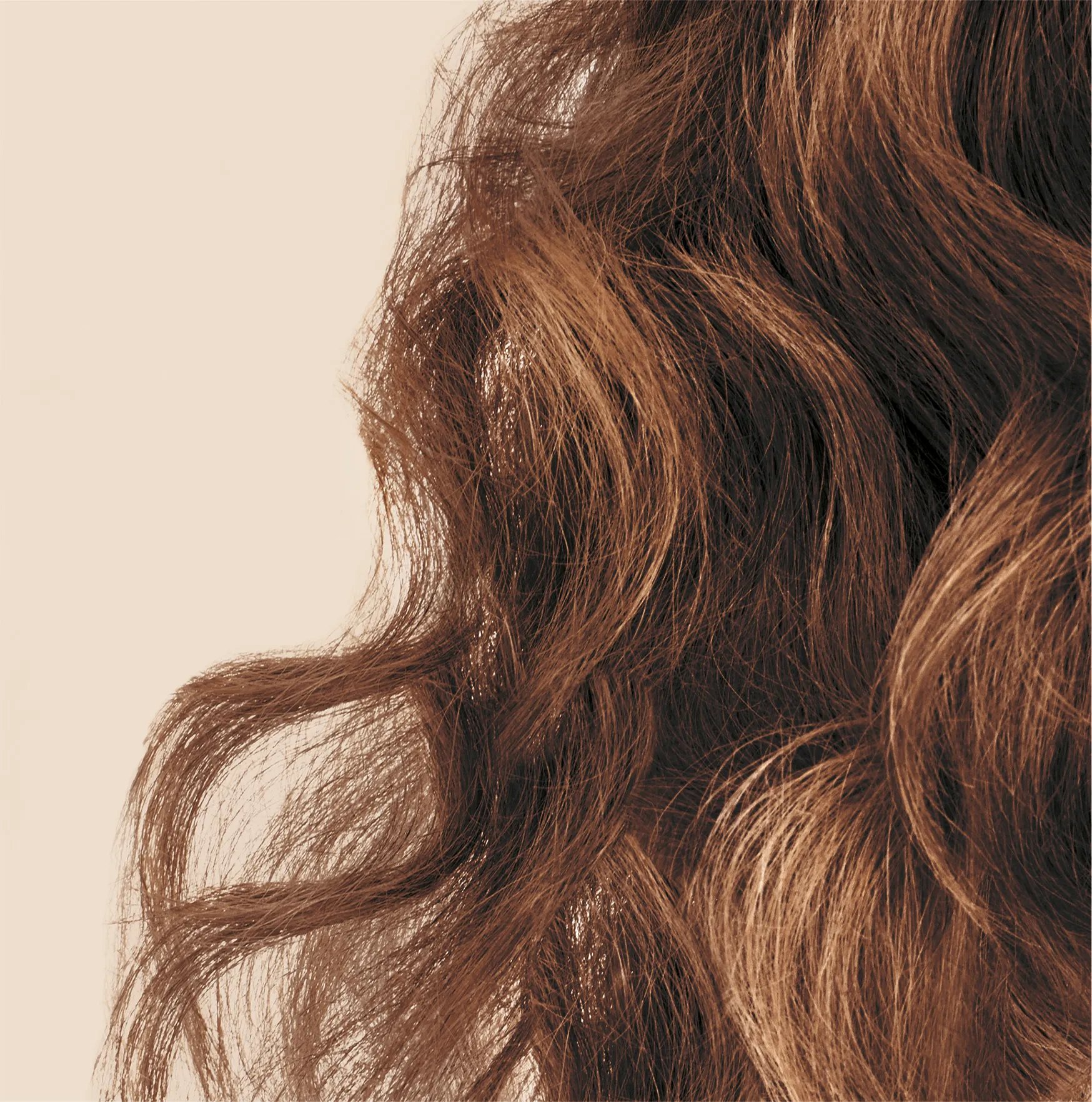 Close-up of model’s brown, wavy hair.