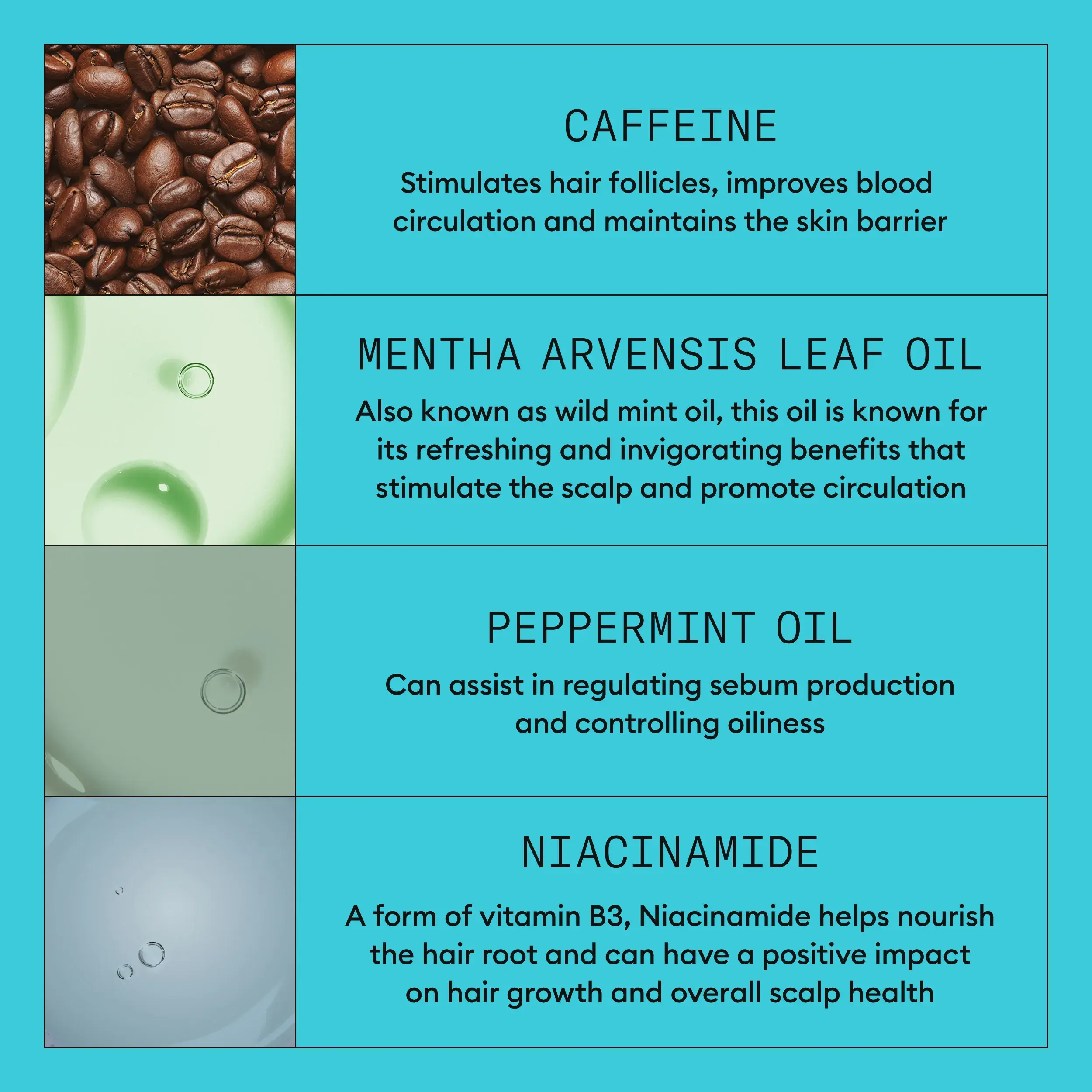 Nioxin System 3 ingredients infograph