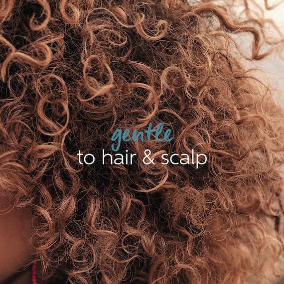 WellaPro_Blog_2023_DryScalpCare_image4