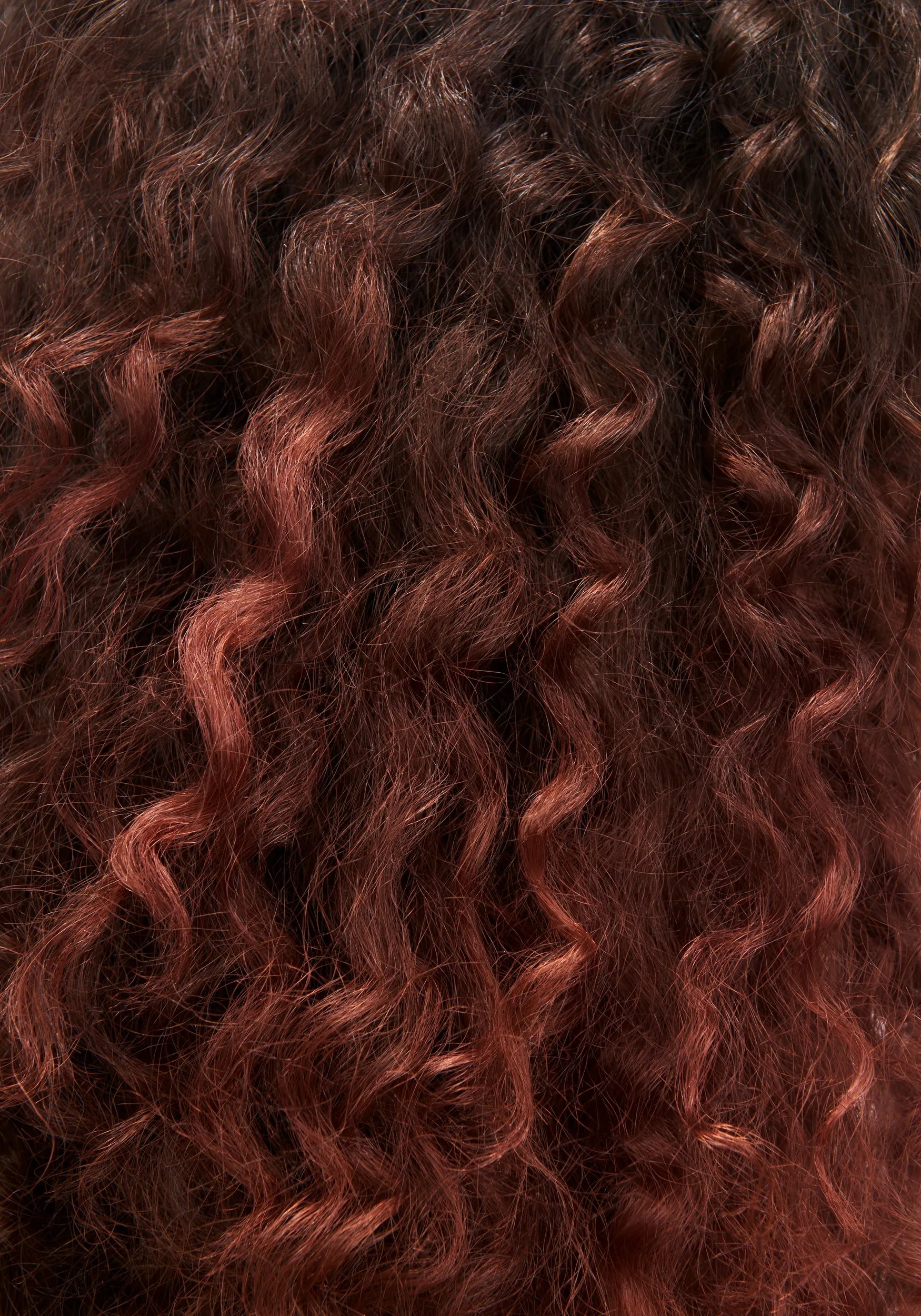 Close up of a section of brown, curly hair