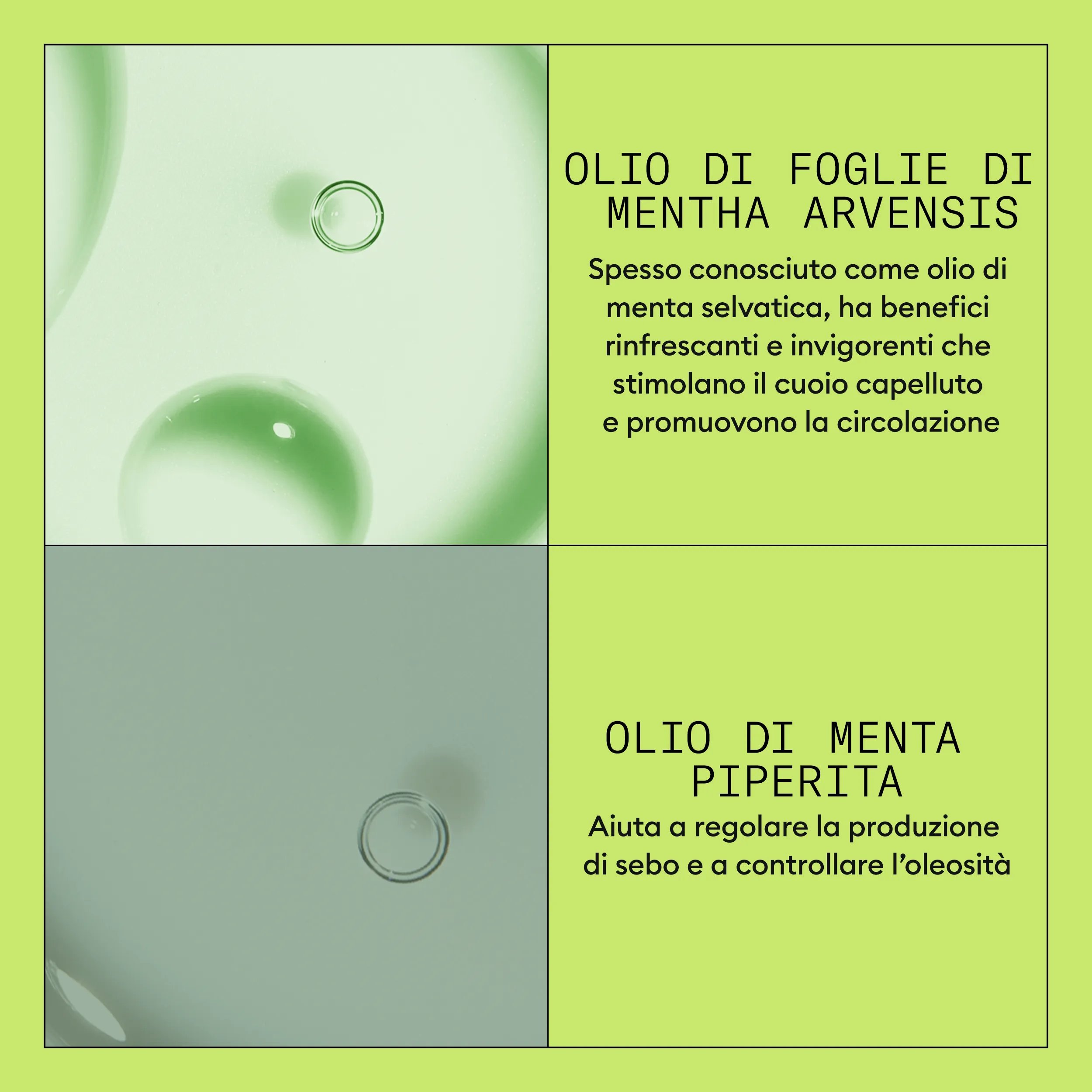 Nioxin_Sistema 2 Conditioner 1L_Italy-52_4_E