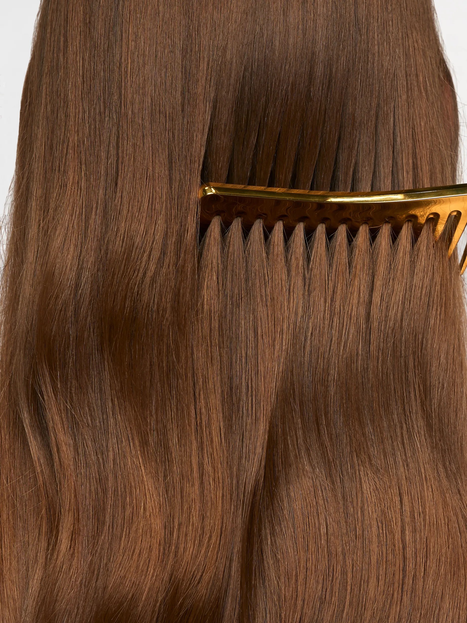 Model with long, dark brown, shiny hair.