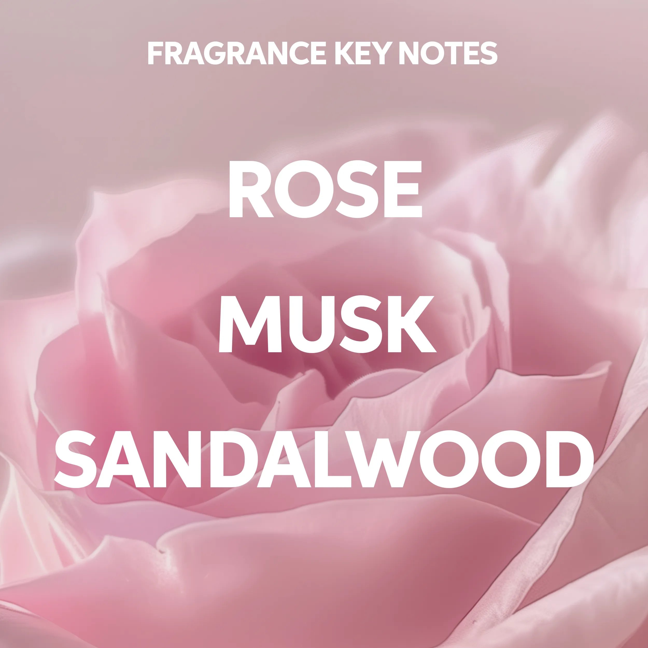 Image with fragrance key notes "Rose, Musk, Sandalwood" on a soft pink rose background.