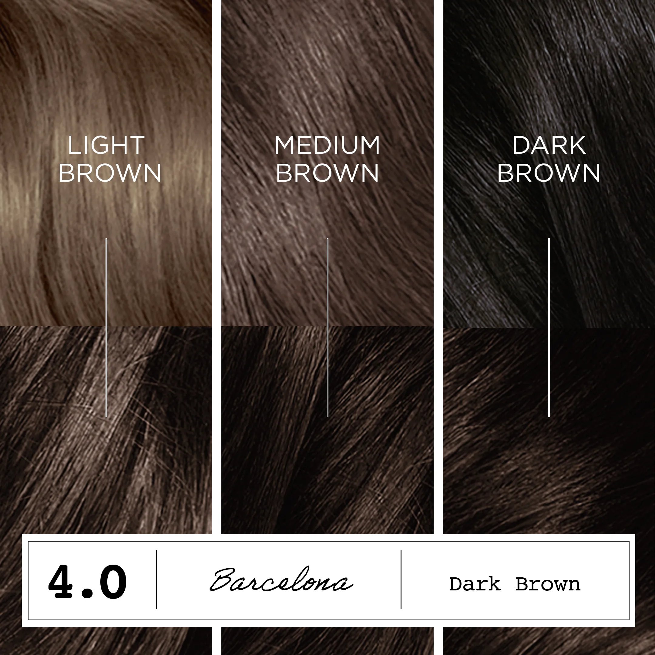 Destination: Your Dream Hair Color