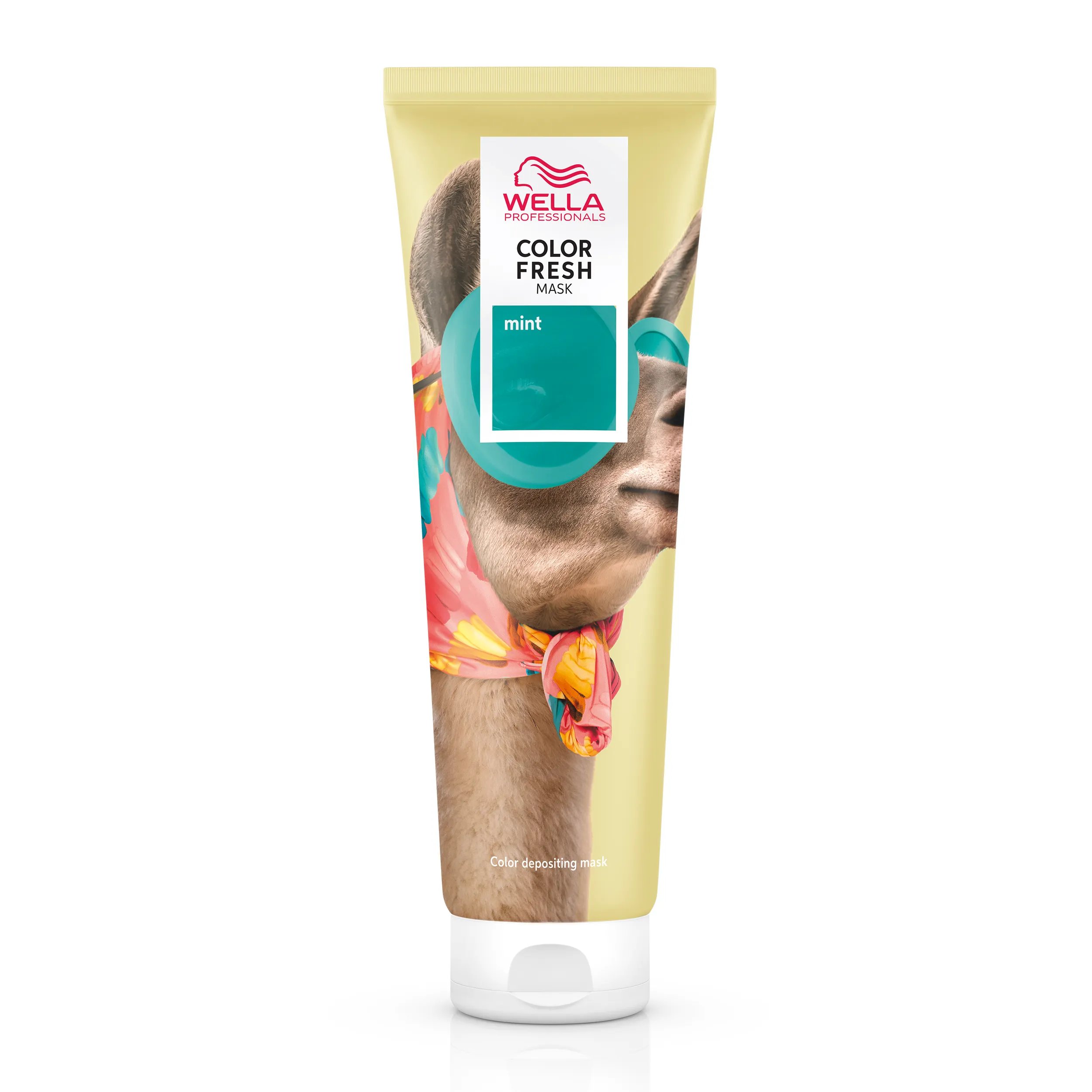 Packshot der Color Fresh Mask Mint