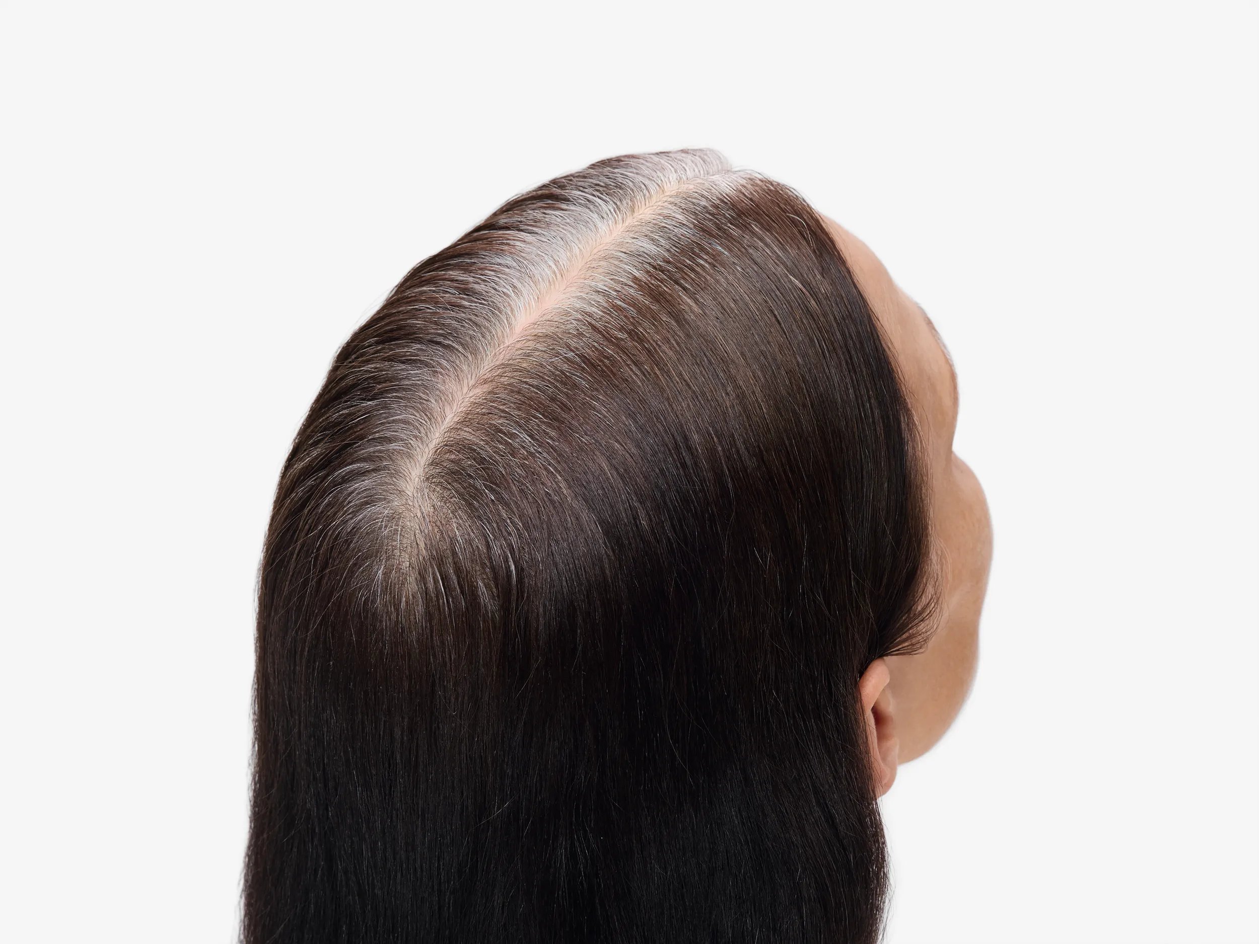 Model with dark brown hair and gray roots that are starting to show faces away from the camera.