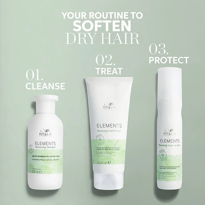 packshot of the routine including shampoo conditioner and leave-in spray . Text saying 'your routine to soften dry hair'