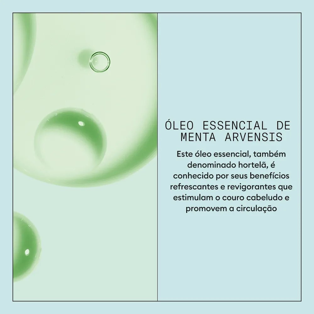 Infográfico dos ativos do sistema Scalp Recovery