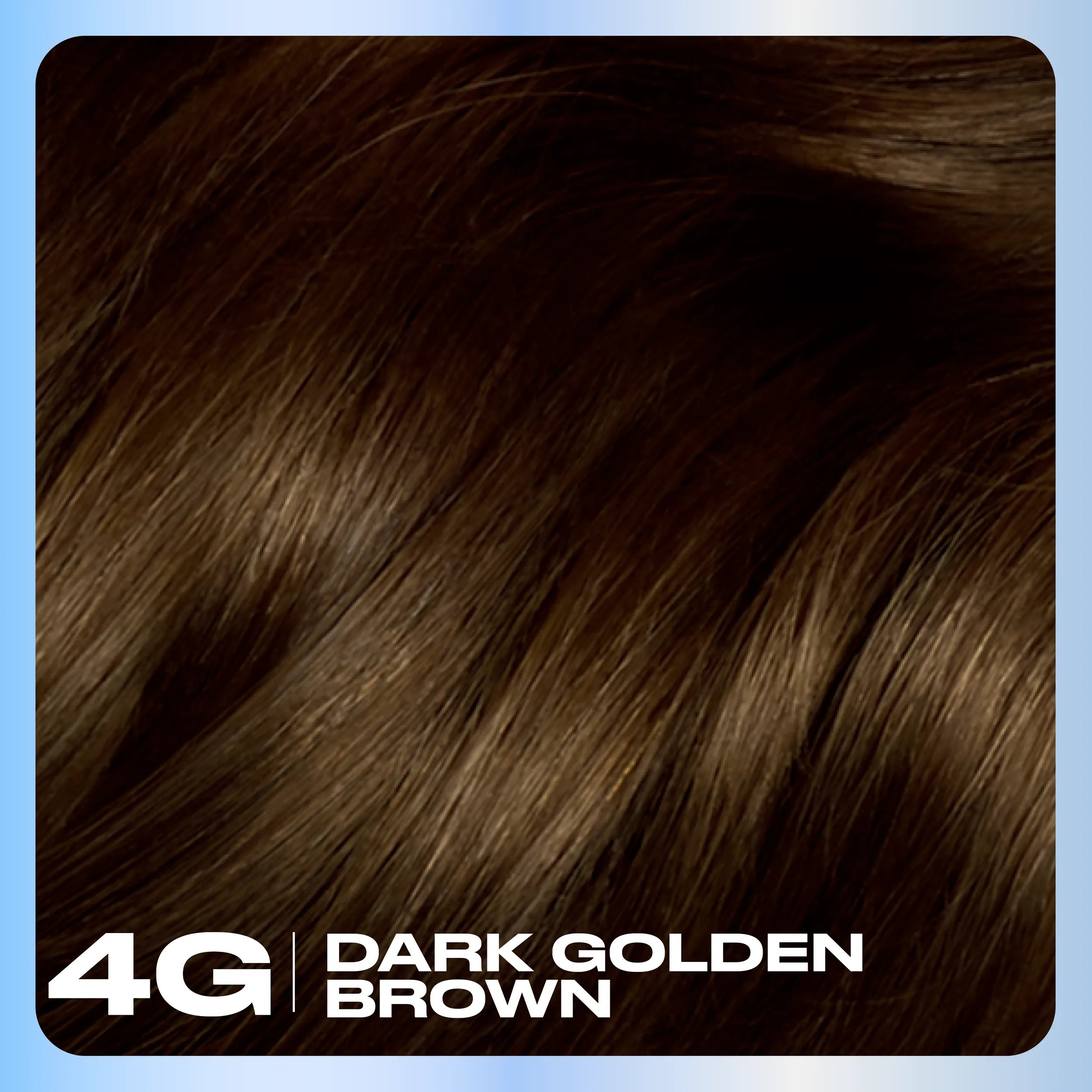 Clairol_Nice_N_Easy_Hair_Color_Base_Content_4G Dark Golden Brown
