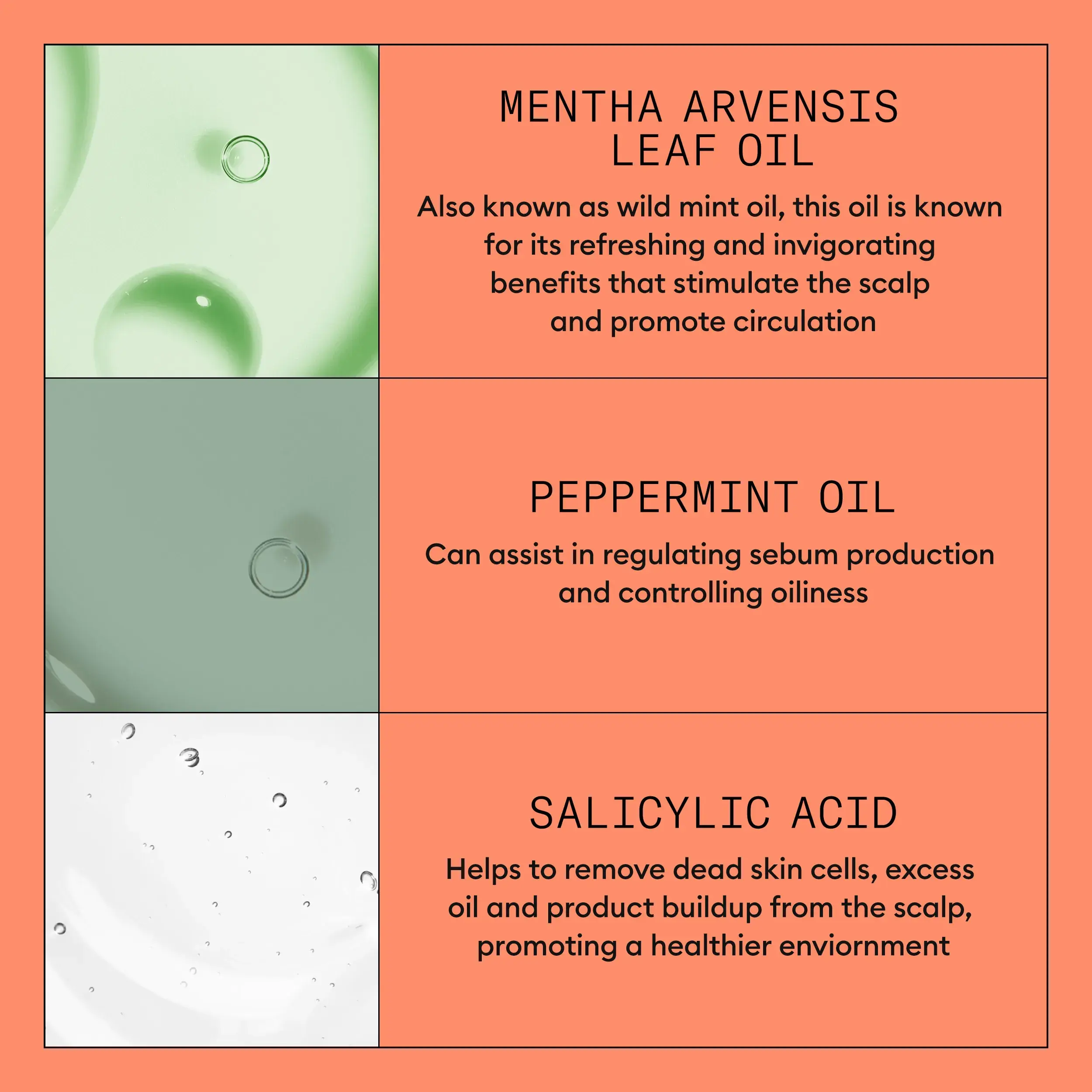 Nioxin System 4 Shampoo ingredients infograph