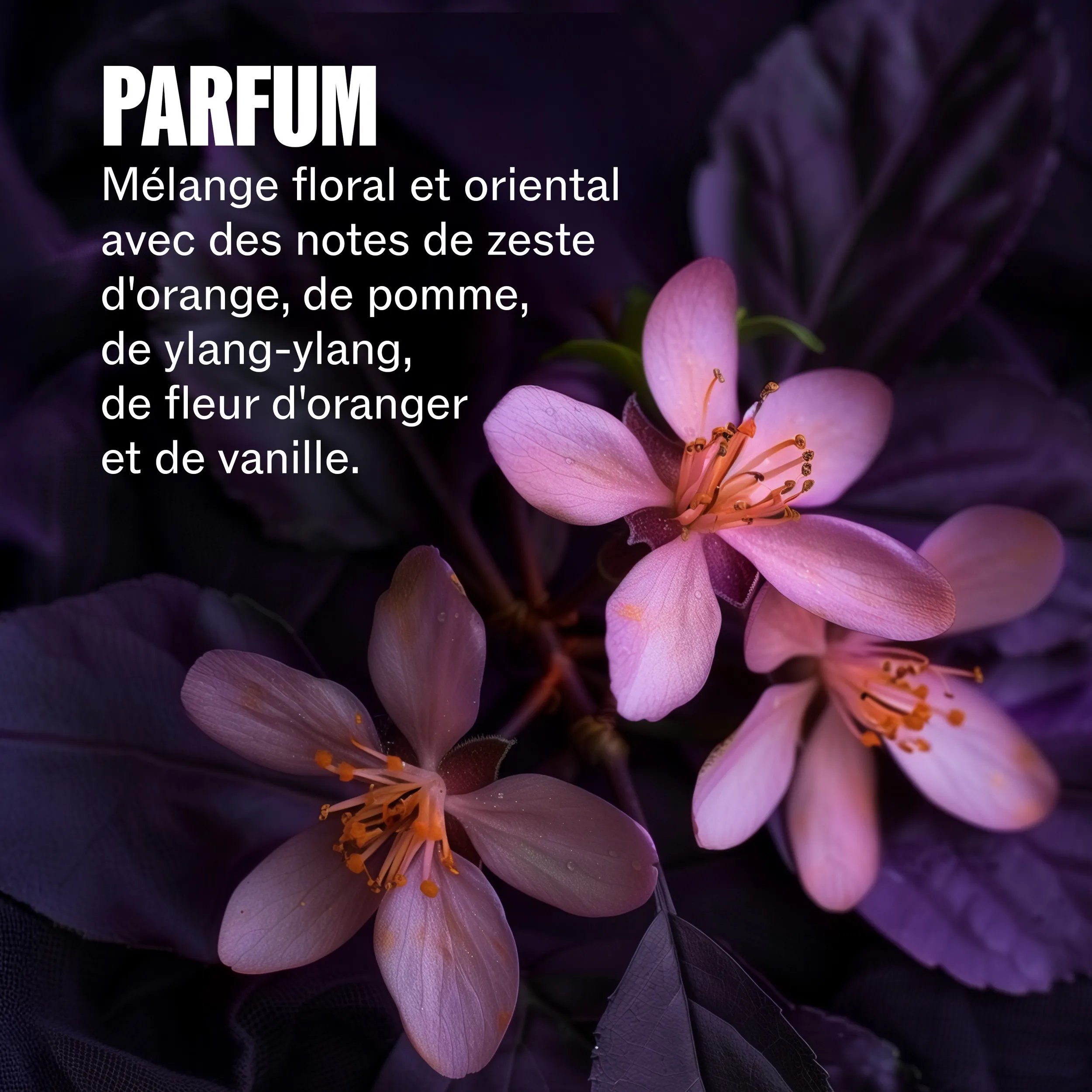 Close-up image of purple flowers. Text overlay reads "Fragrance unique, fruity & florential fragrance with top notes of orange zest, apple & leafy green"