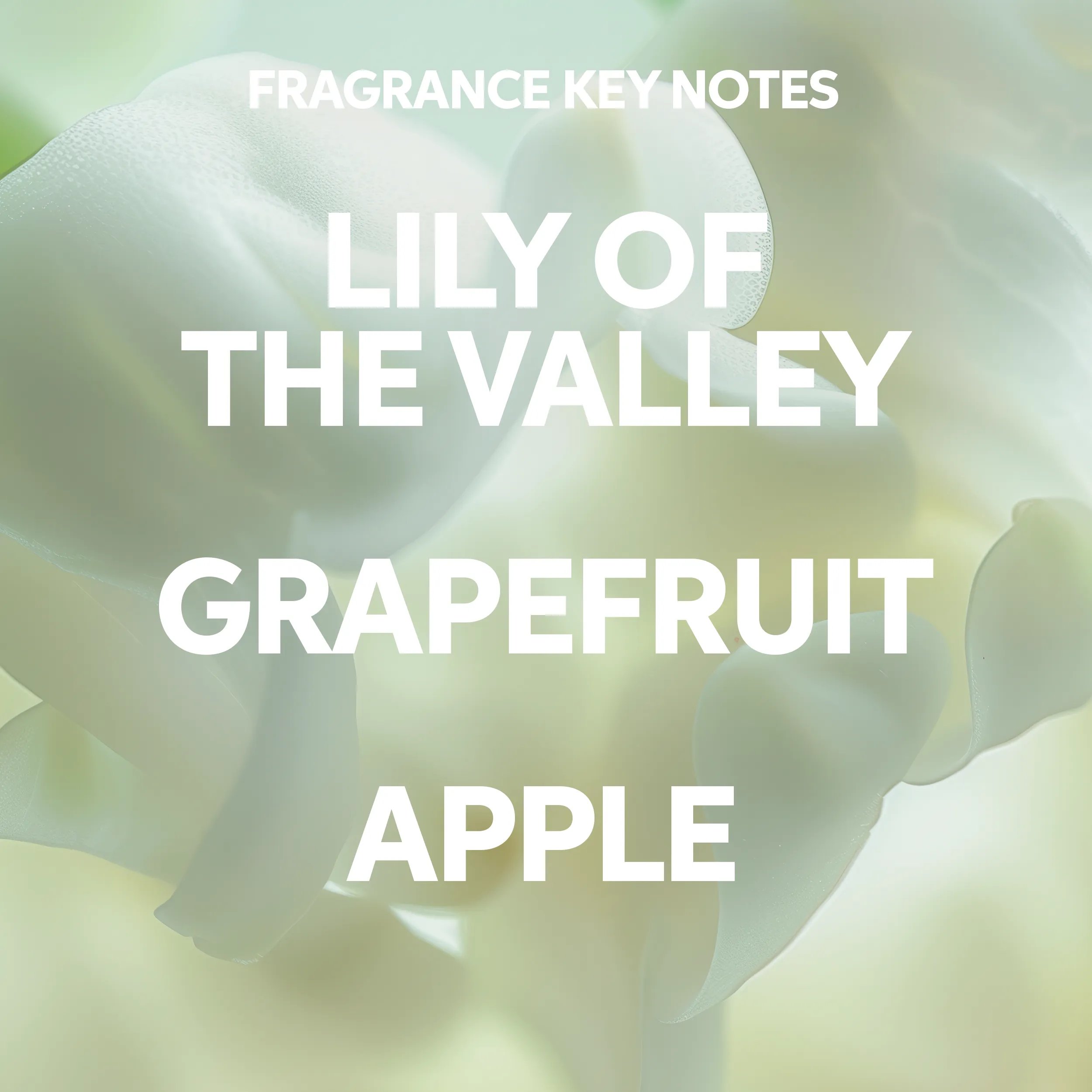 Image with text reading 'Fragrance key notes: lily of the valley, grapefruit, and apple'.