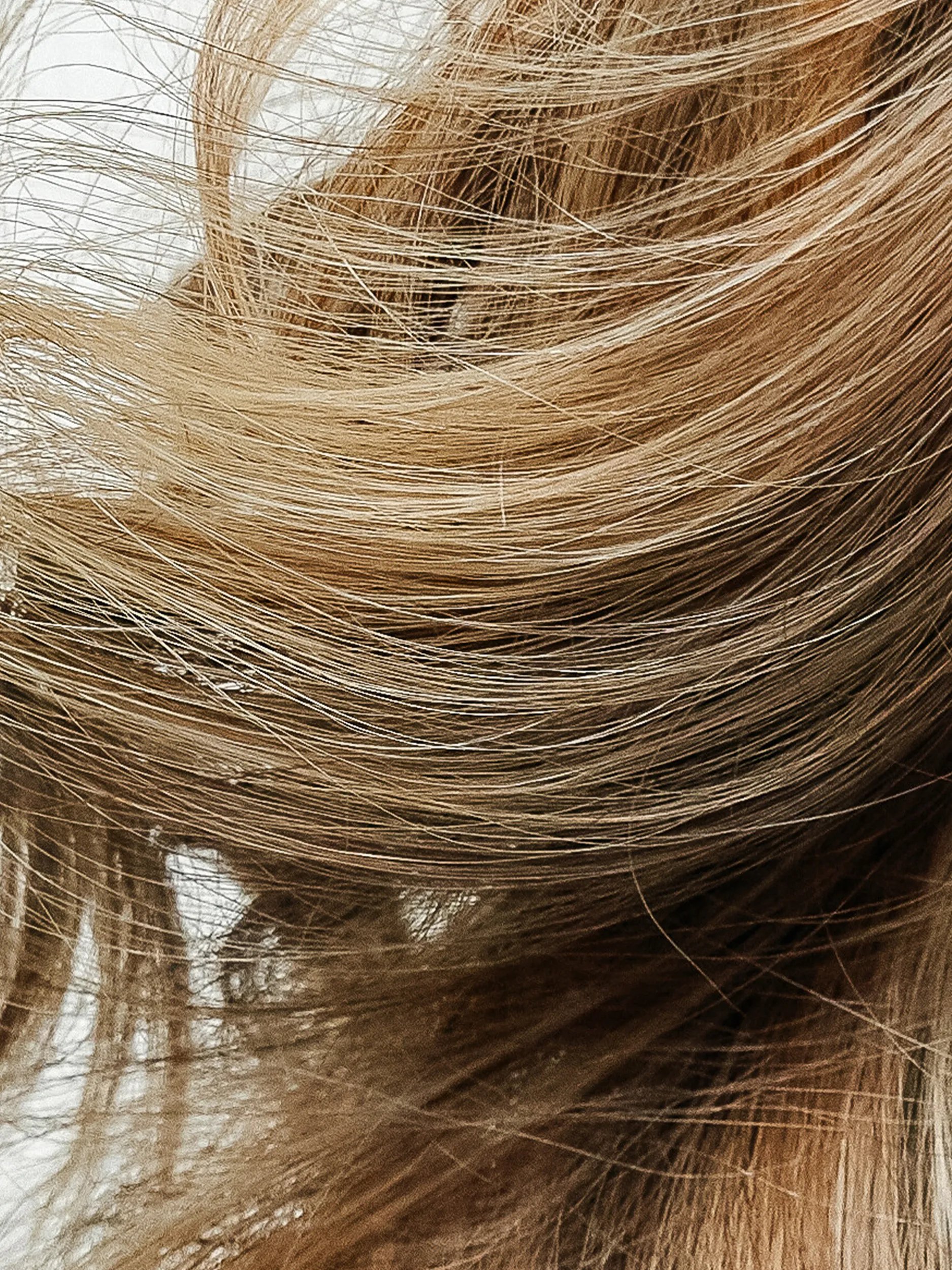 Close-up of blonde and brown hair strands, highlighting the natural variations in color and texture.