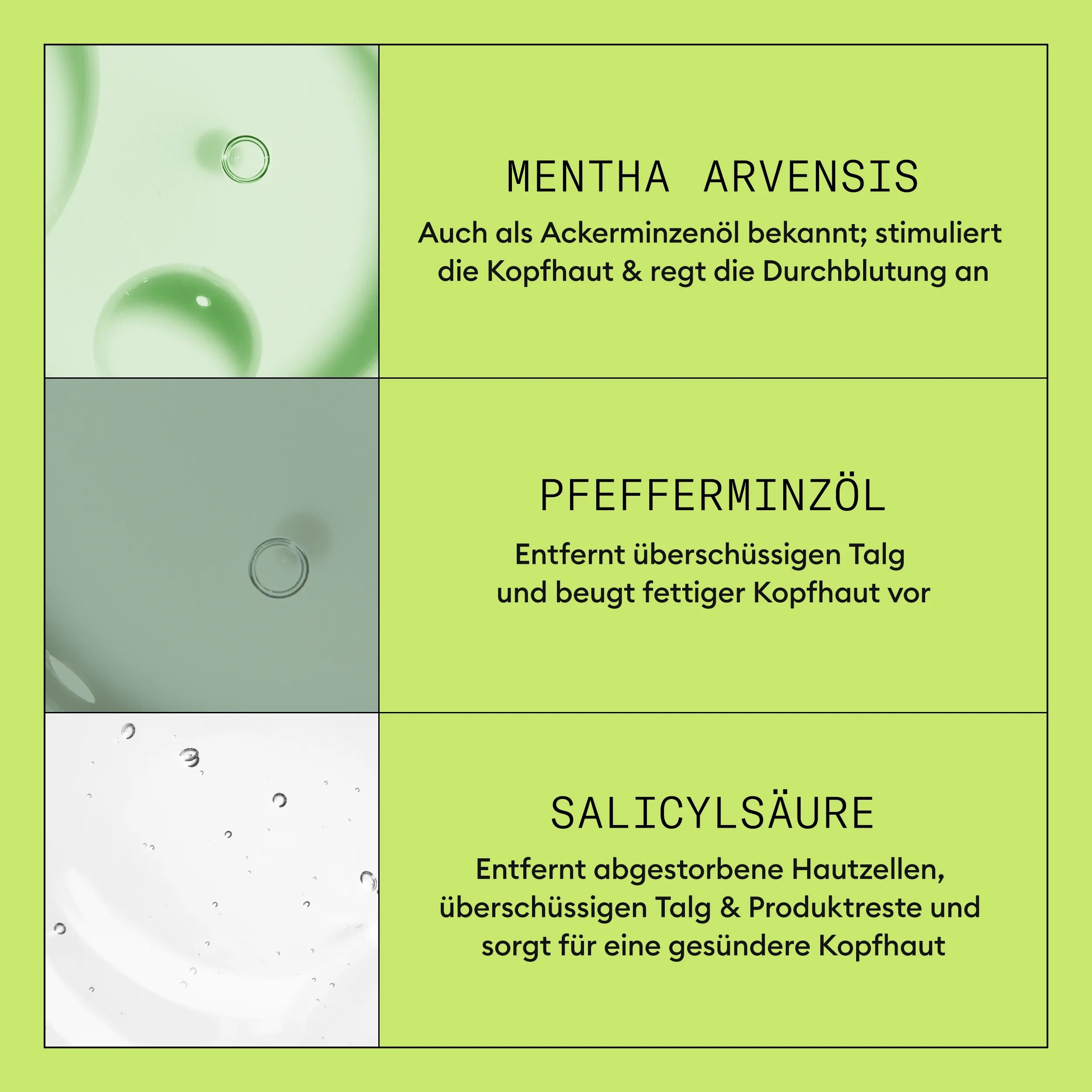 system 2 shampoo Inhaltsstoffe