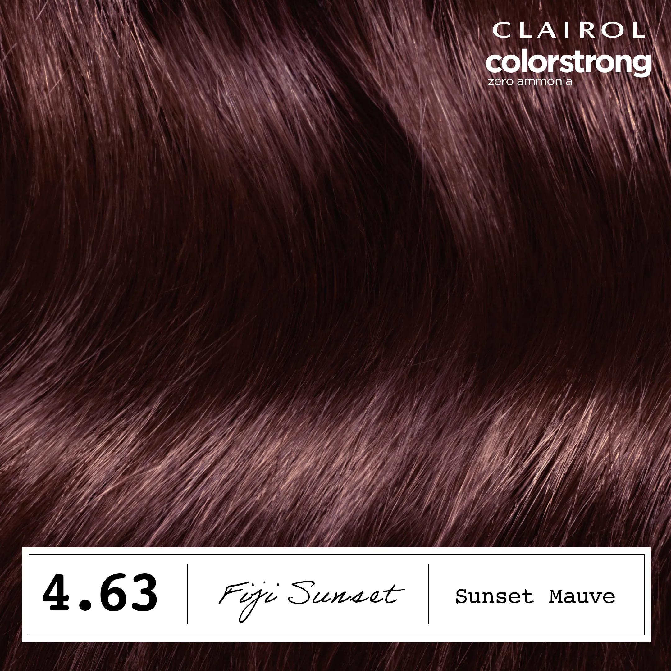 ColorStrong Zero Ammonia Hair Dye, 4.63 Sunset Mauve | Clairol US