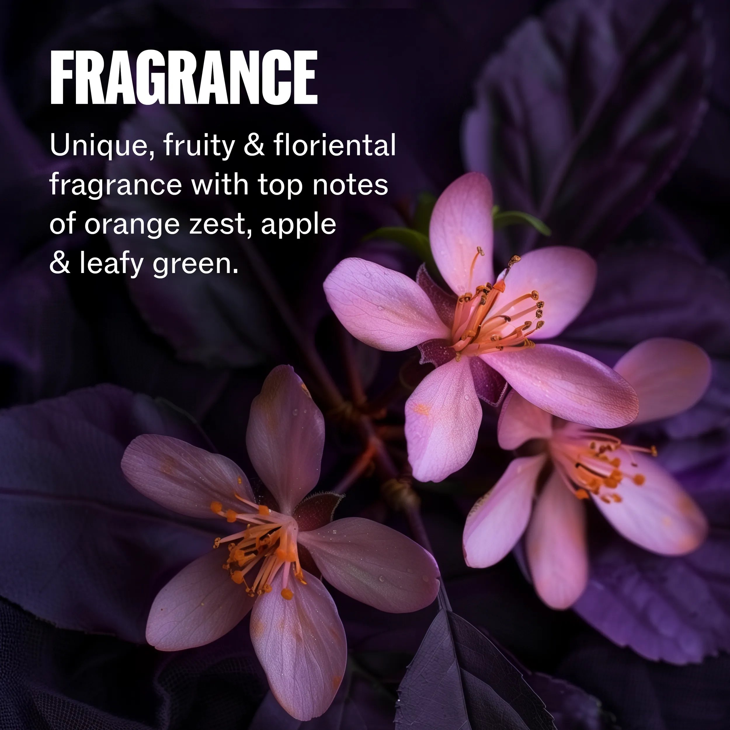 Close-up image of purple flowers. Text overlay reads "Fragrance unique, fruity & florential fragrance with top notes of orange zest, apple & leafy green".	